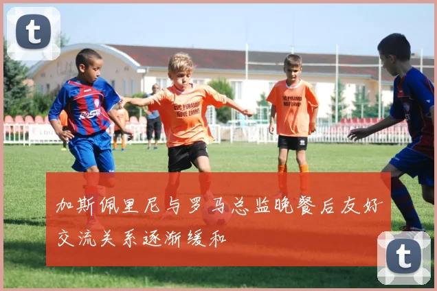 加斯佩里尼与罗马总监晚餐后友好交流关系逐渐缓和