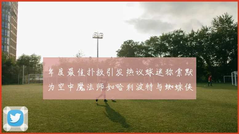 年度最佳扑救引发热议球迷称索默为空中魔法师如哈利波特与蜘蛛侠