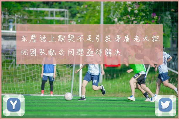 东詹场上默契不足引发矛盾老大担忧团队配合问题亟待解决