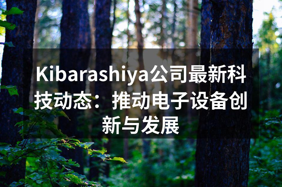 Kibarashiya新款智能音箱
