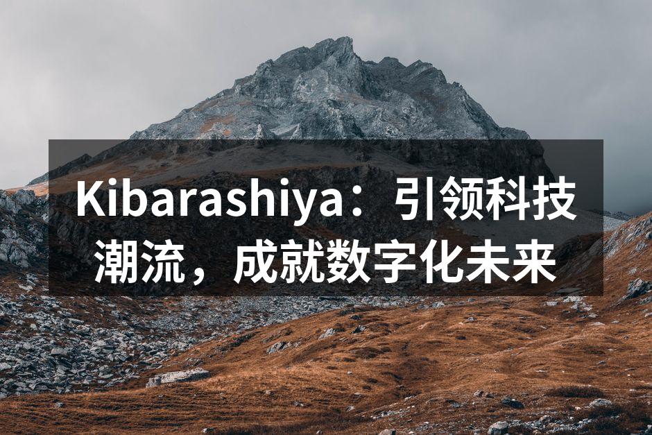 Kibarashiya：引领科技潮流，成就数字化未来